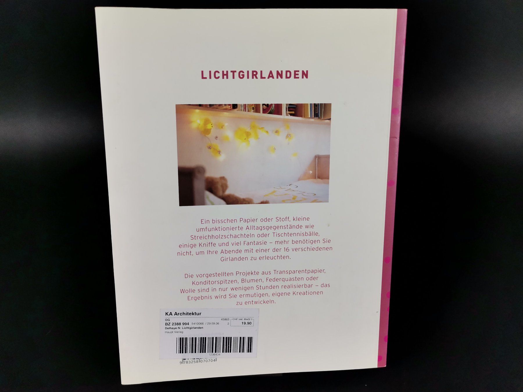 Libri: BUCH Lichtgirlanden – Usato da Schaffhausen venduto da Restwert_SH 2