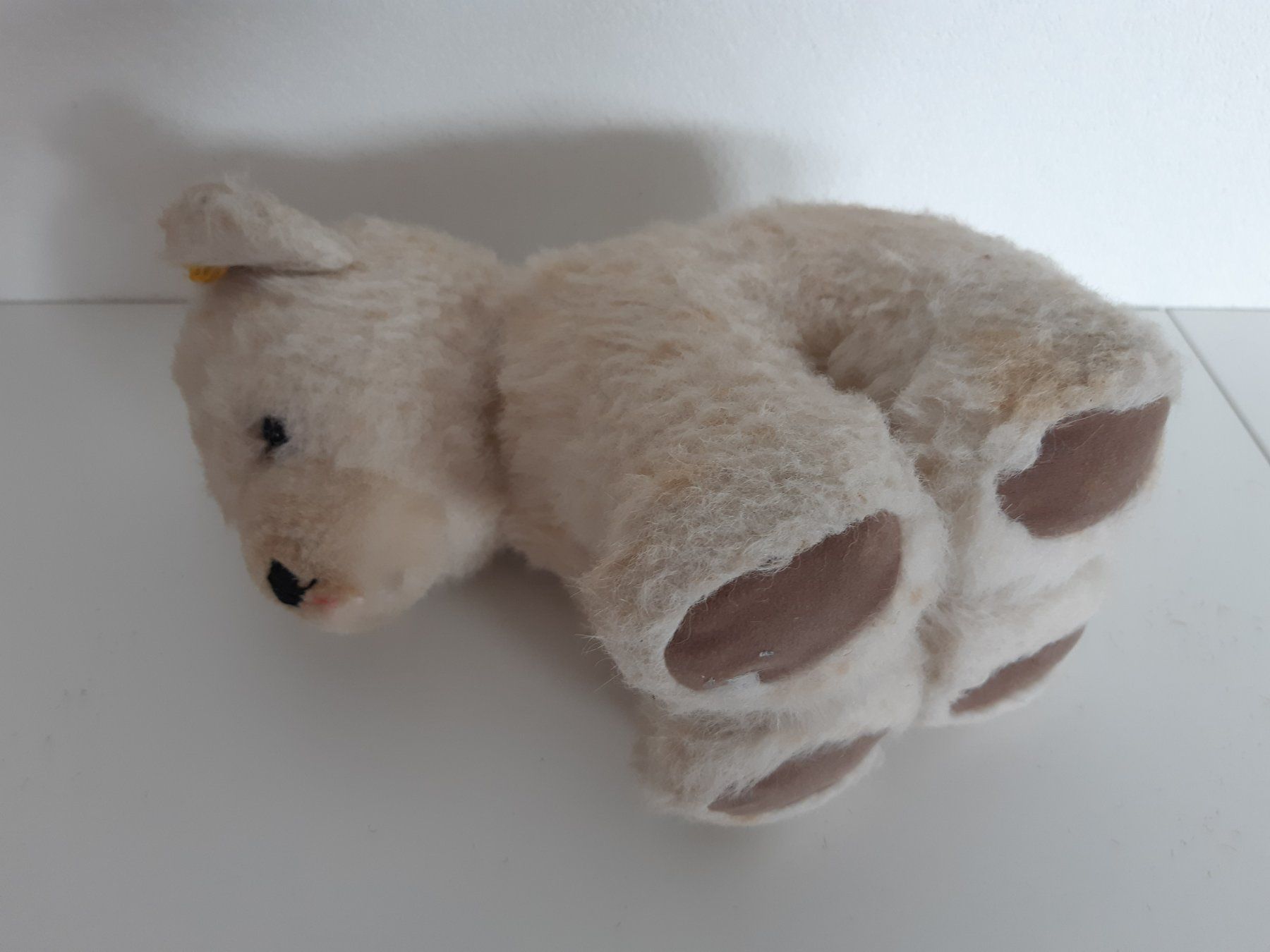 Steiff Giocattoli: Steiff Eisbär Alt – Usato da Aadorf venduto da Merlin111 4