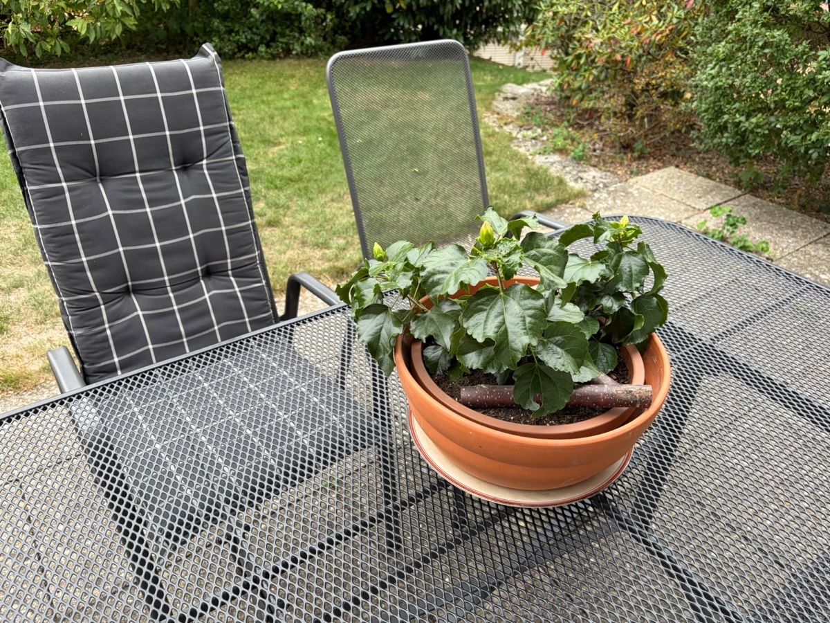 Tavoli: Gartenmöbel Tisch und Stühle – Usato da Neerach venduto da Scholipop 1