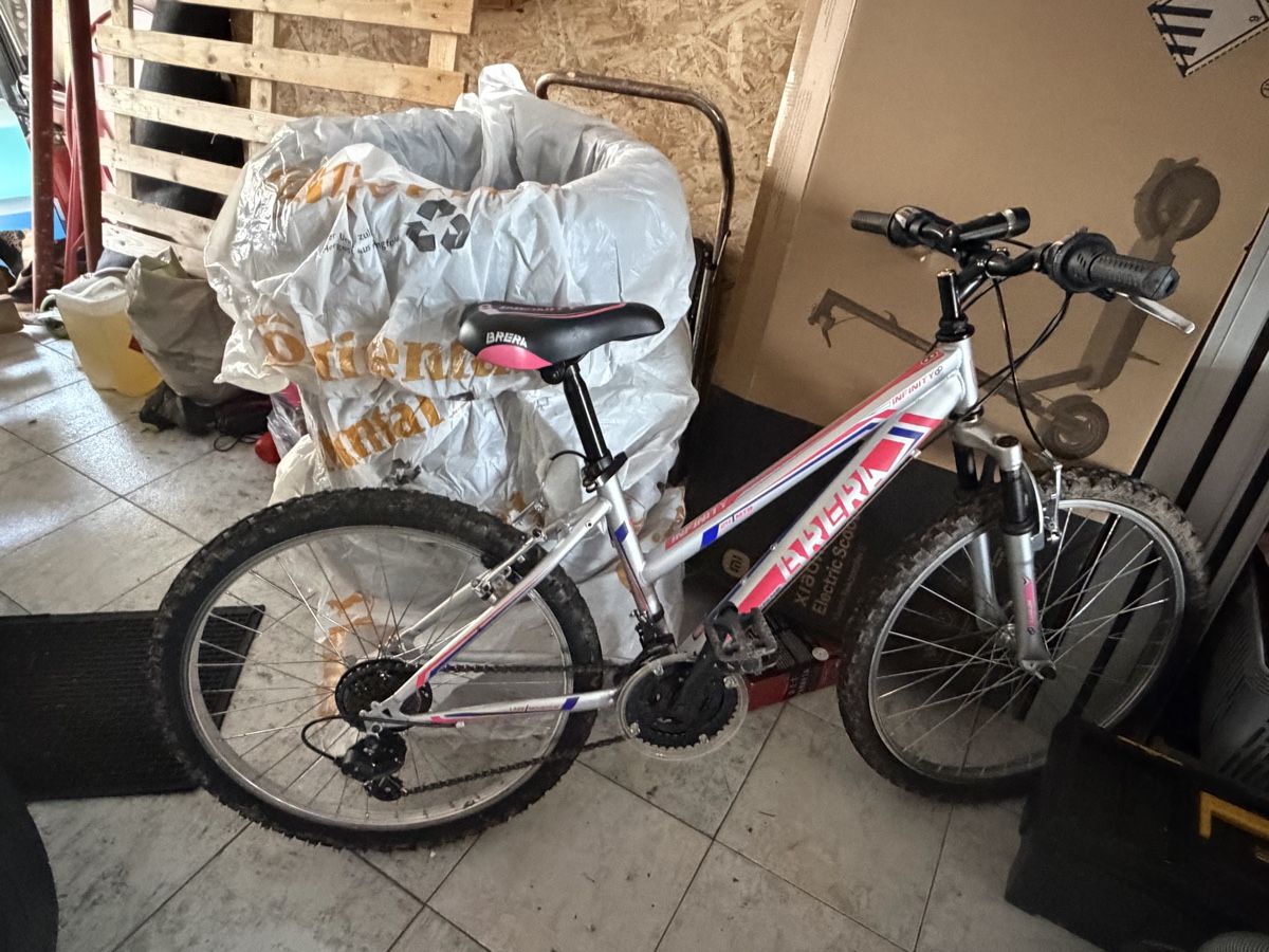 Biciclette: Vendo bicicletta da ragazza – Usato da Vacallo venduto da Vale_1234