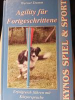 Werner Damm: Agility für Fortgeschrittene