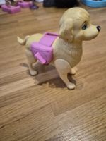 cane Barbie 