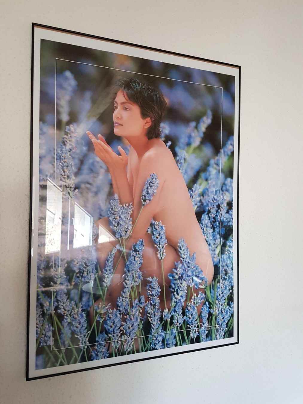 Foto & Immagini: Nail - Poster – Usato da Dübendorf venduto da Senita3