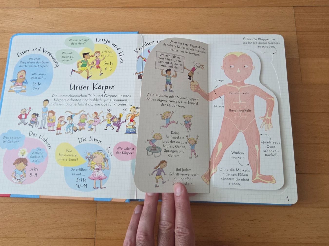 Libri: Dein Körper - mit über 100 klappen – Usato da Wallisellen venduto da SwissTreeDee 5