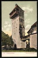 Rheinfelden, Storchennestturm mit brüte