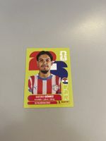 Panini 2026