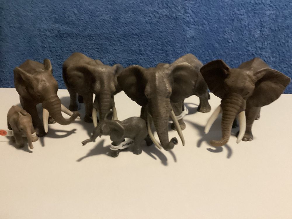 SCHLEICH Afrikanische Elefantenkuh - Wildtier-Figur Detailgetreu, Für Kinder Ab 3 Jahren
