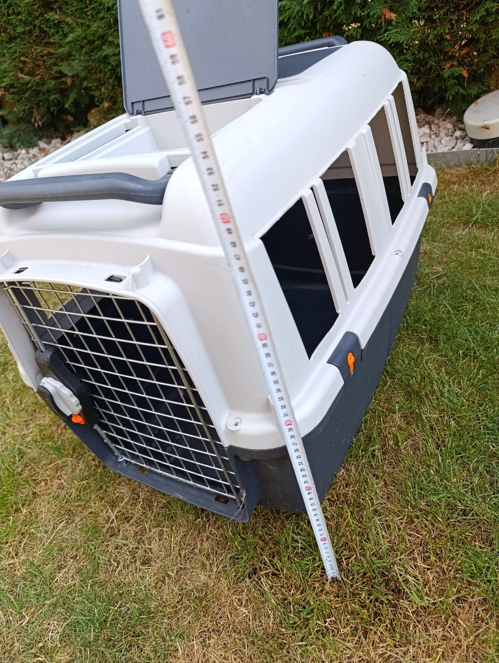 Gabbie, trasporto & Sicurezza: Caisse de transport pour chien – Usato da Avry-sur-Matran venduto da dav_nm5p 6