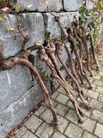 Schönes Rebstock-Holz zu verkaufen