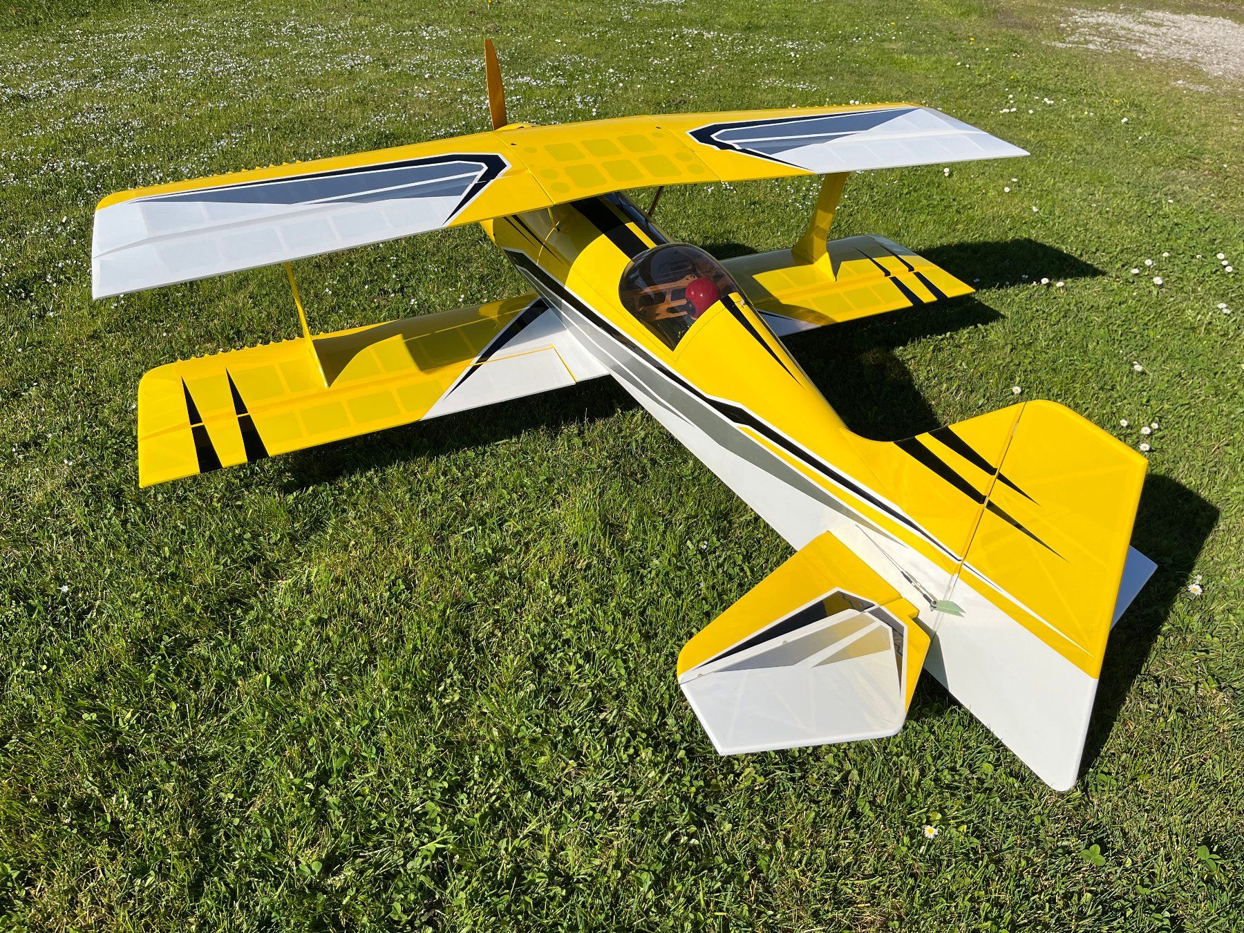 Modellismo RC: Mamba 70cc von Flex Innovations 1961mm – Usato da Zollikerberg venduto da Cmmoser 4