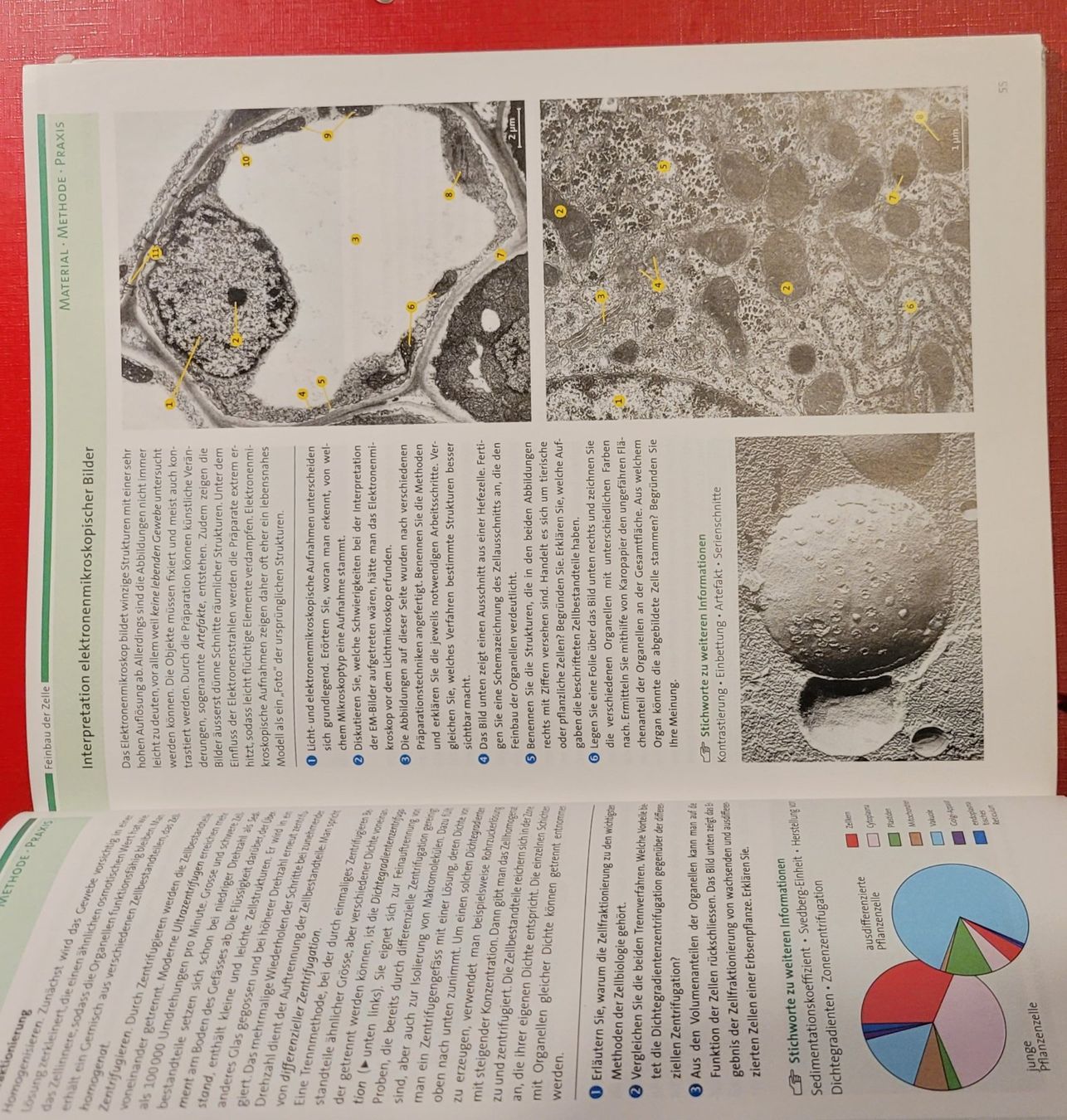 Libri: Biologie -  Schulbuch gebraucht – Usato da Zürich venduto da Avd 7
