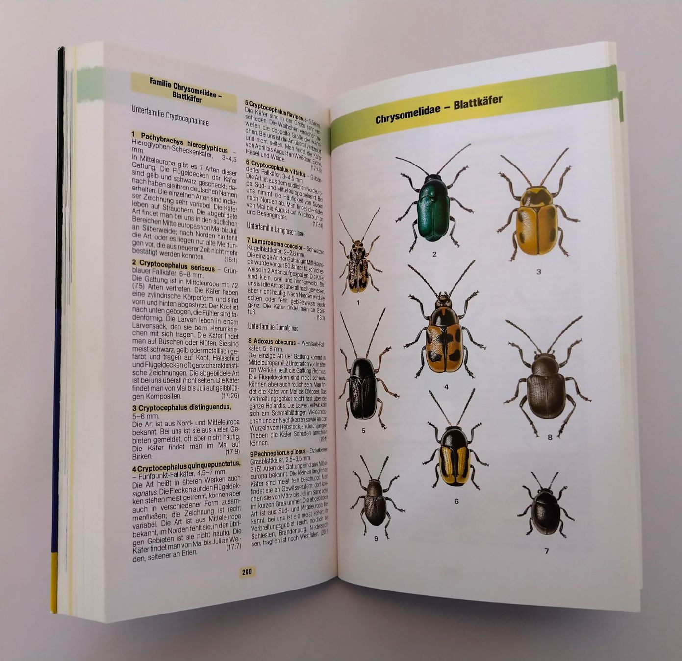 Livres: Käfer Buch / Der Kosmos Käferführer / Buch mit 352 Seiten – D'occasion à Bellach par JingleJerry 6