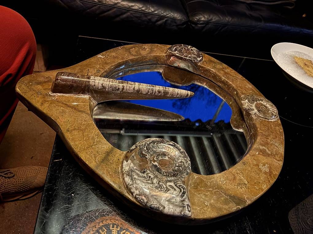 Spiegel: Fossilien Spiegel – Gebraucht aus Birmenstorf AG von Darky777 1