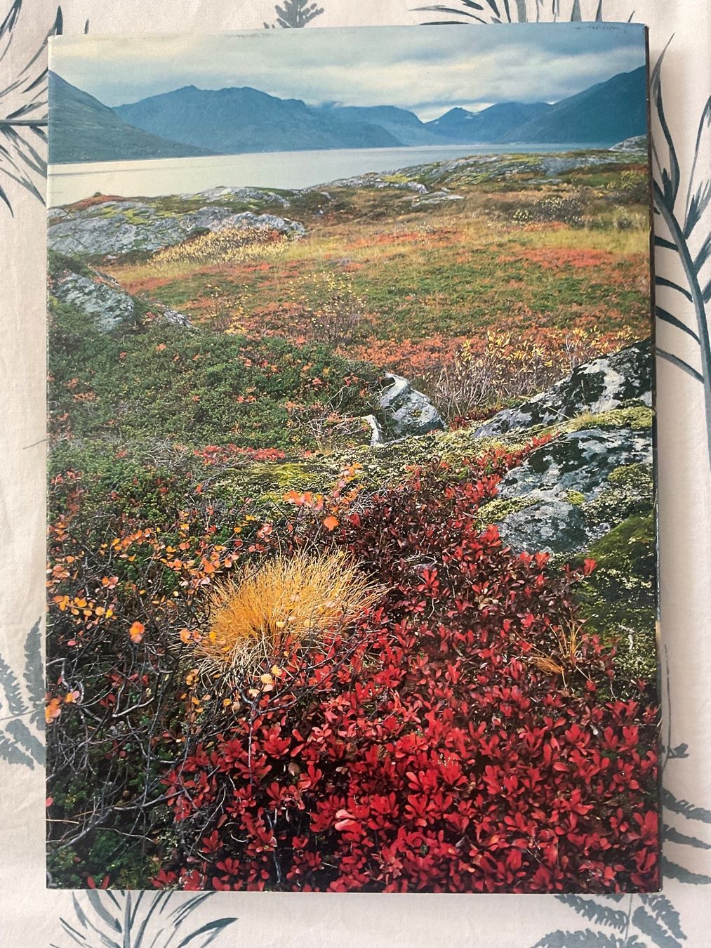 Libri: Silva Buch Lappland – Usato da Zürich venduto da Tolima194 9