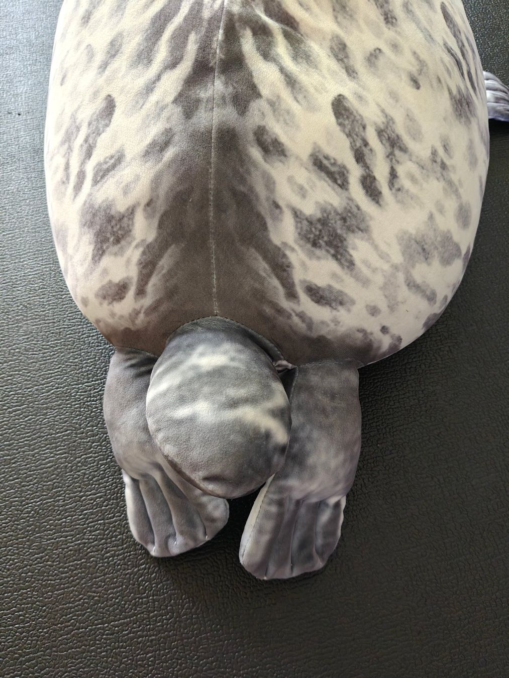 Cuscini: 3D Kissen Robbe – Usato da Basel venduto da jos_2z5q 3