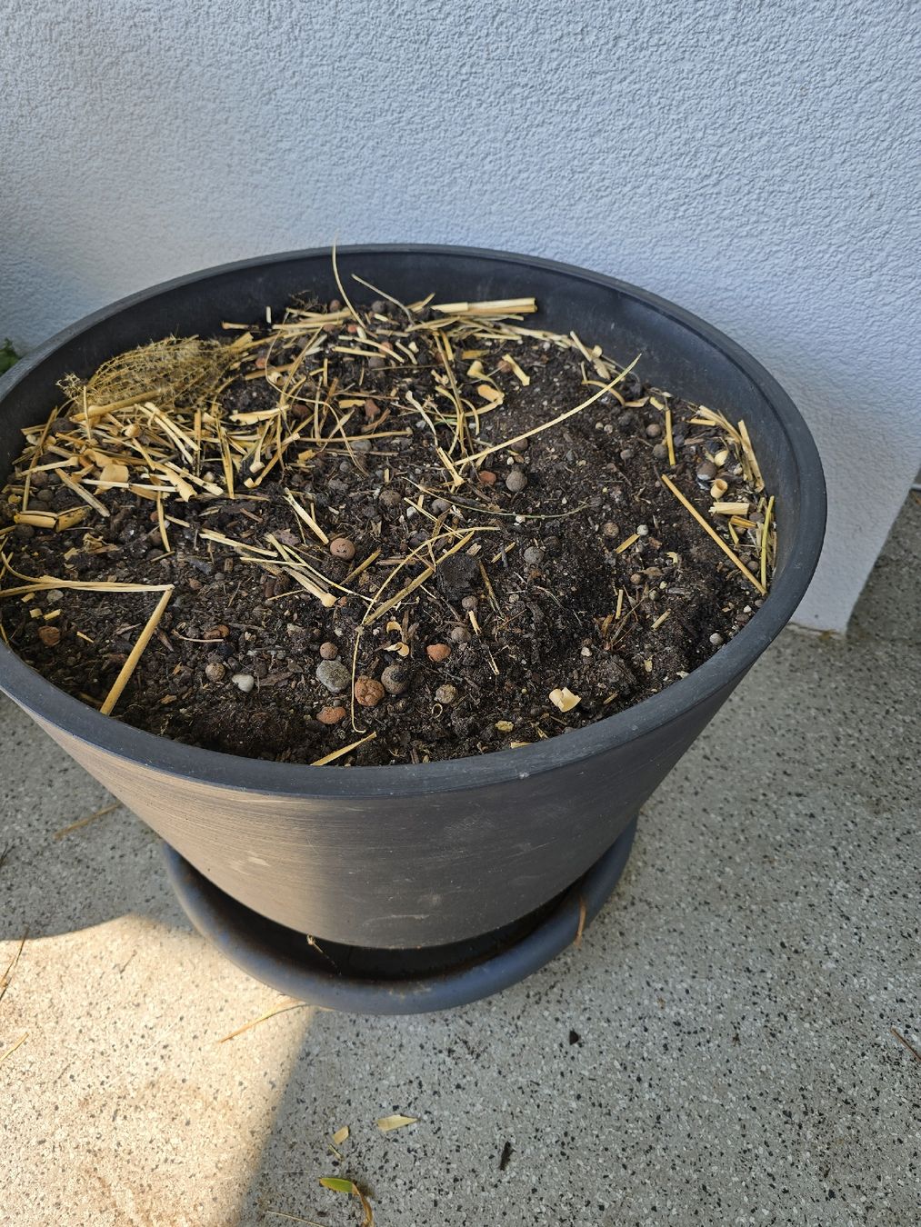 Vasi per fiori: Schöner grosser Pflanzentopf – Usato da Rickenbach b. Wil venduto da Kth_v8 2