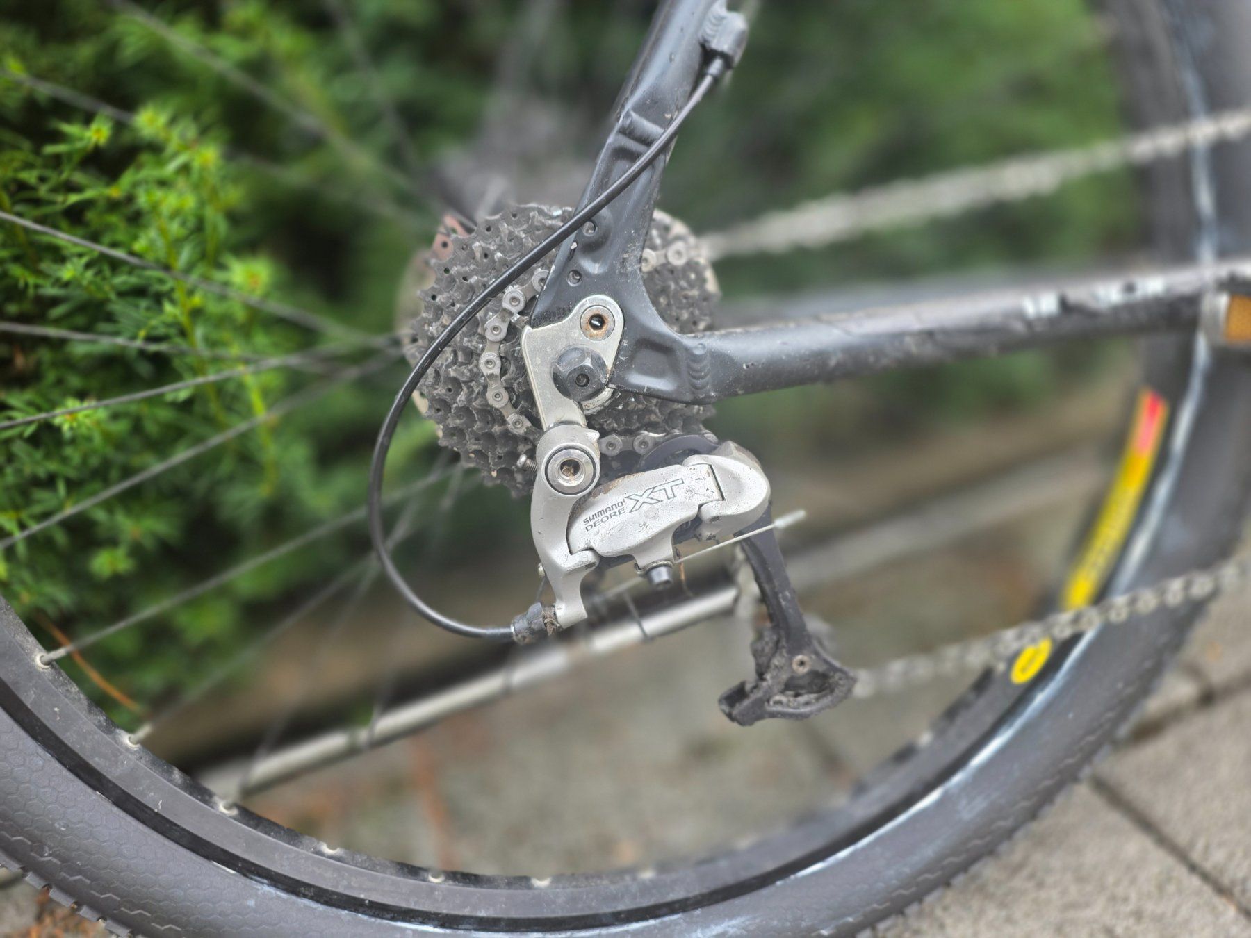 Wheeler Biciclette: MTB Wheeler 7900 – Usato da Sins venduto da Wildspitz 4