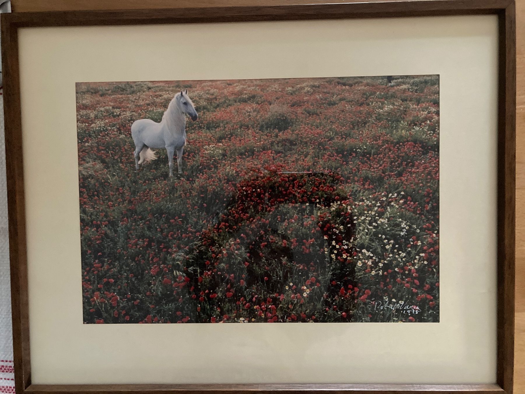Foto & Immagini: Bild 'In The Meadow' Robert Vavra 1978 gerahmt – Usato da Wettswil venduto da jsei