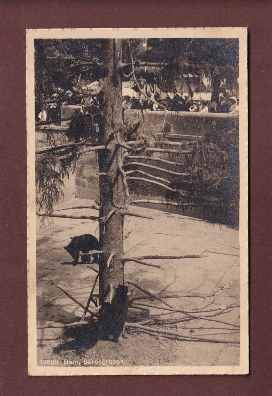 Ansichtskarten: BERN - BÄRENGRABEN - 1913 – Gebraucht aus Pully von nicecards-shop