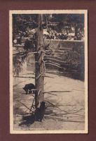BERN - BÄRENGRABEN - 1913