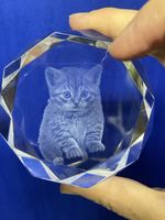 Katzen-Glas