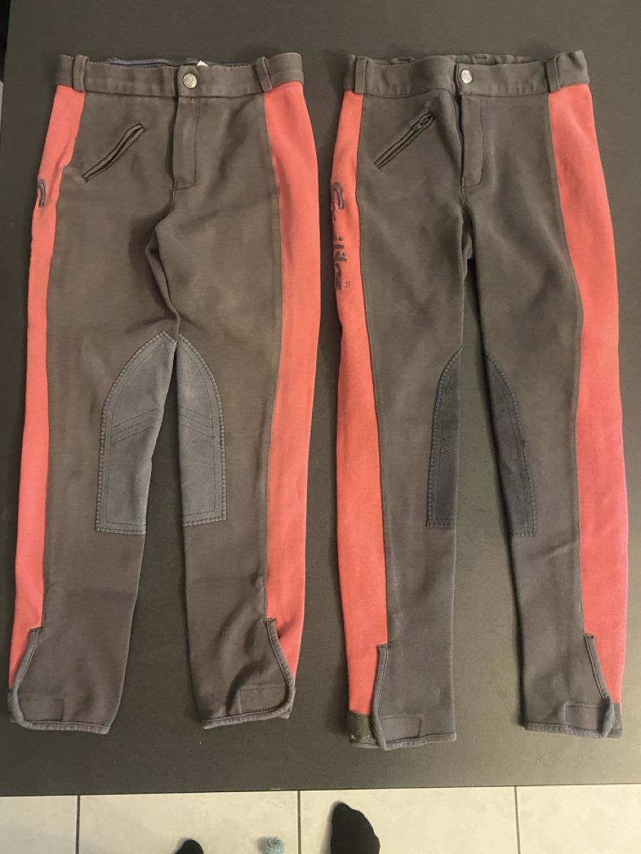 Pantaloni: Equilibre Reithosen 152 – Usato da Leibstadt venduto da Shopcity