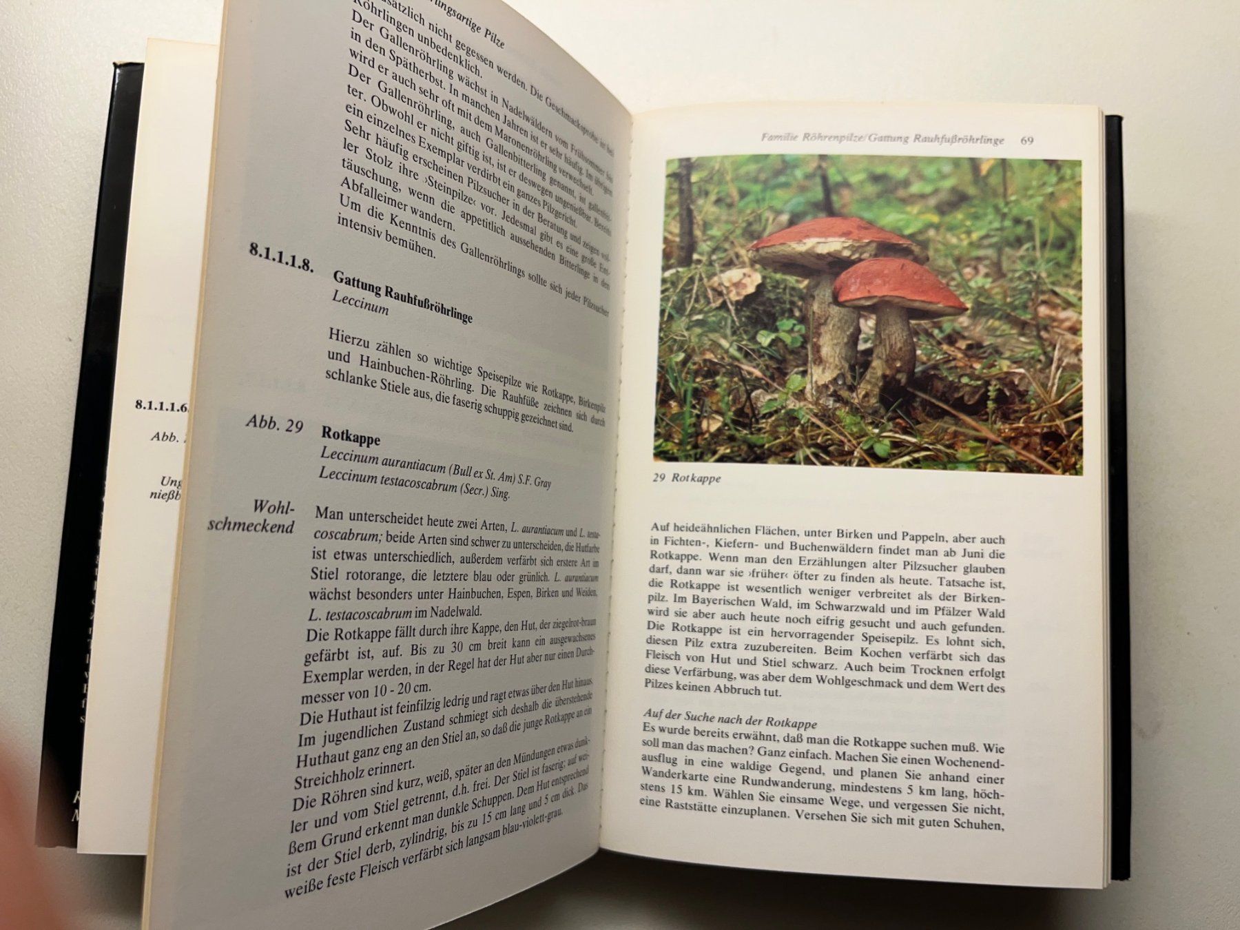 Libri: Gerhard Thamerus Keysers Pilzberater – Usato da Laufen venduto da Nuria44 5