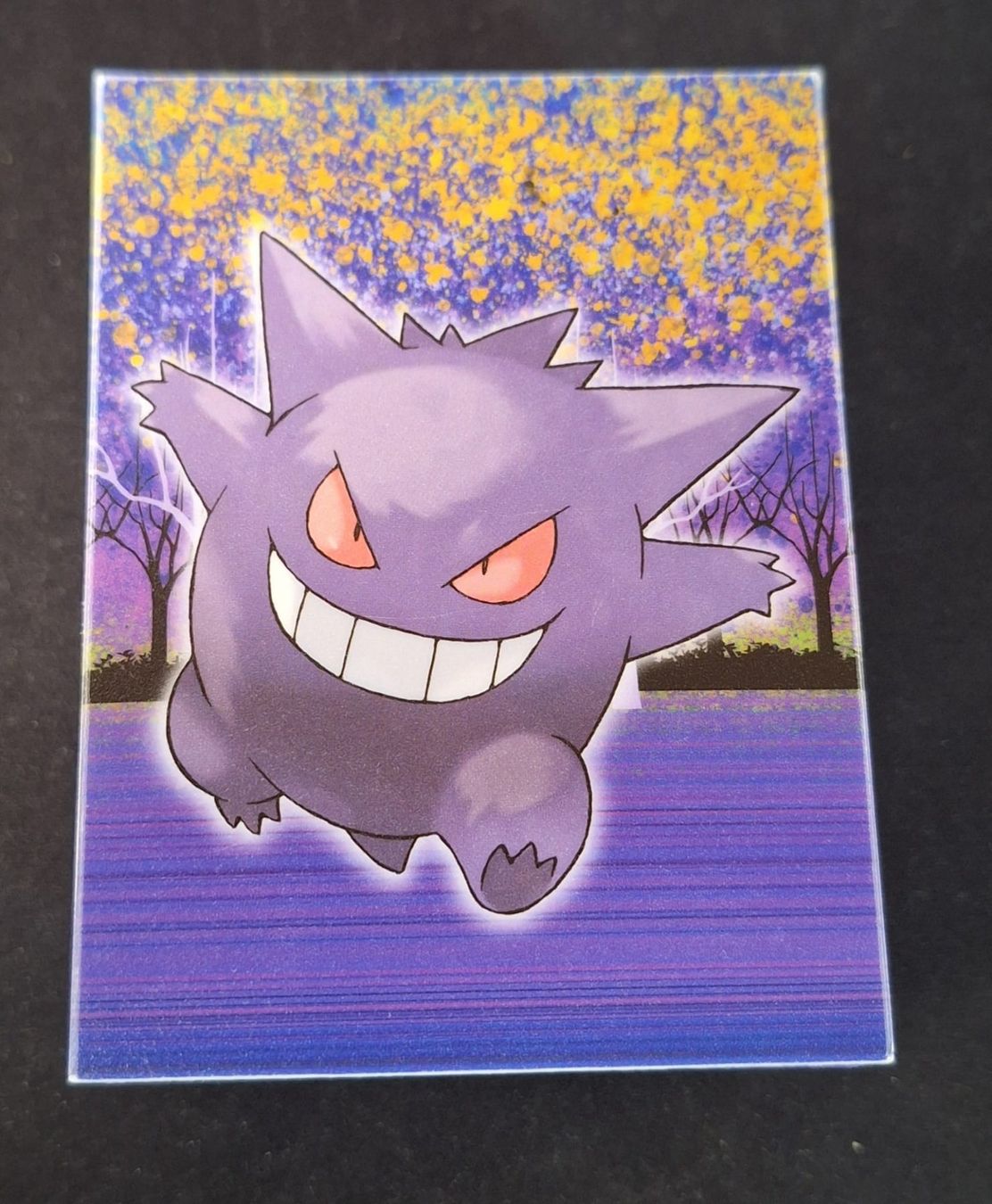 Pokémon Cartes à collectionner: Pokemon Gengar Deck Box – D'occasion à Andwil SG par popatus