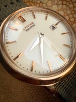 Citizen Eco-Drive – Zeitlose Eleganz mit Lichtantrieb SOLAR