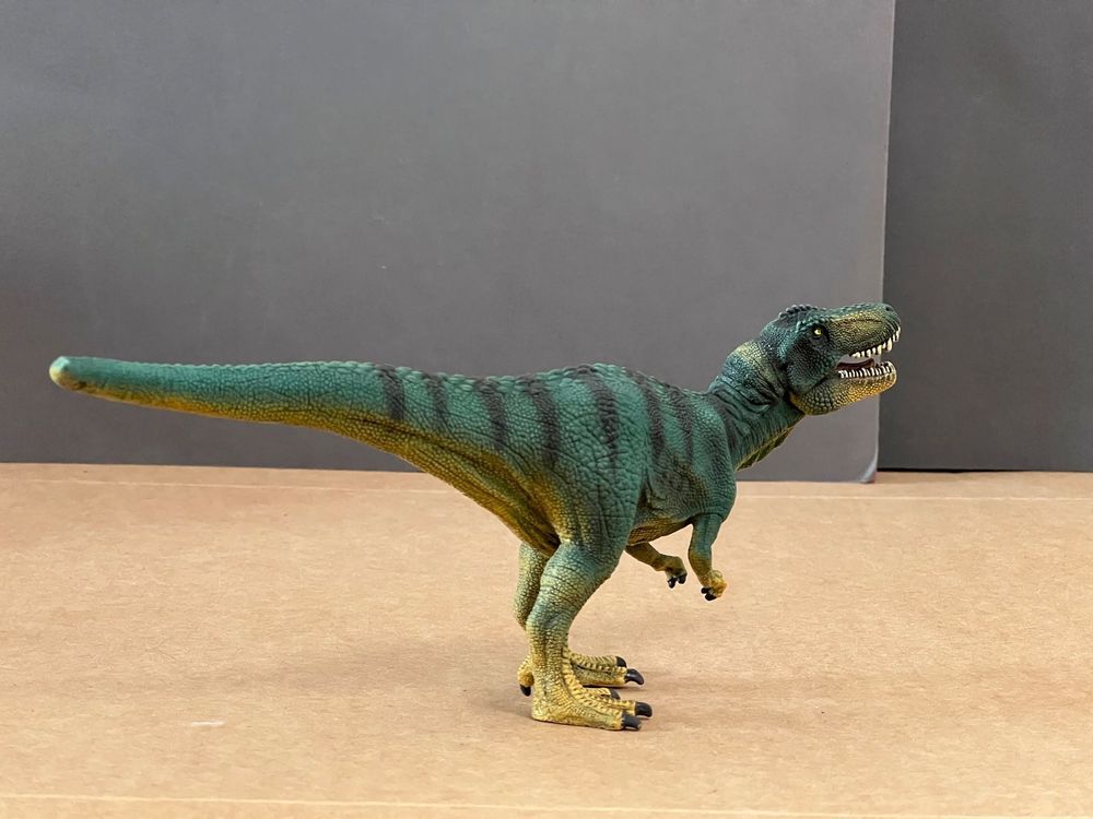 Schleich 15007 Jungtier Tyrannosaurus Rex Dino Dinosaurier Kaufen auf