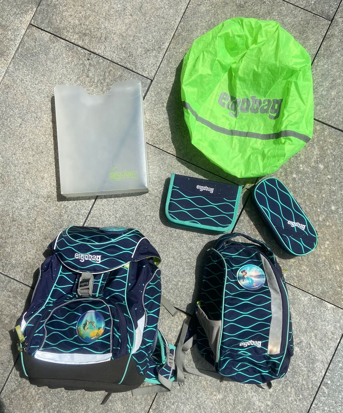 Ergobag Borse & Zaini: Ergobag Schulrucksack-Set 6-teilig – Usato da Au ZH venduto da cafisafr 1