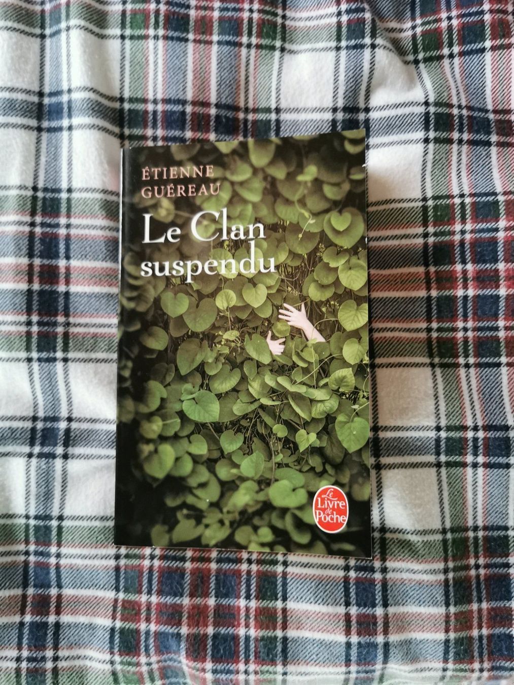 Libri: Le Clan Suspendu - Etienne Guéreau – Nuovo (secondo la descrizione) da Veytaux venduto da lelivreouvert
