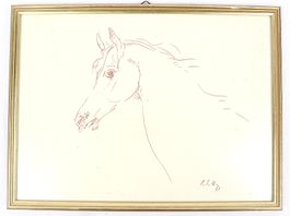 PFERDEKOPF Bild . I.S H.66