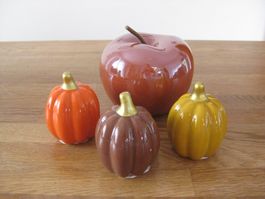 Schöner APFEL und 3 schöne farbige Kürbisse