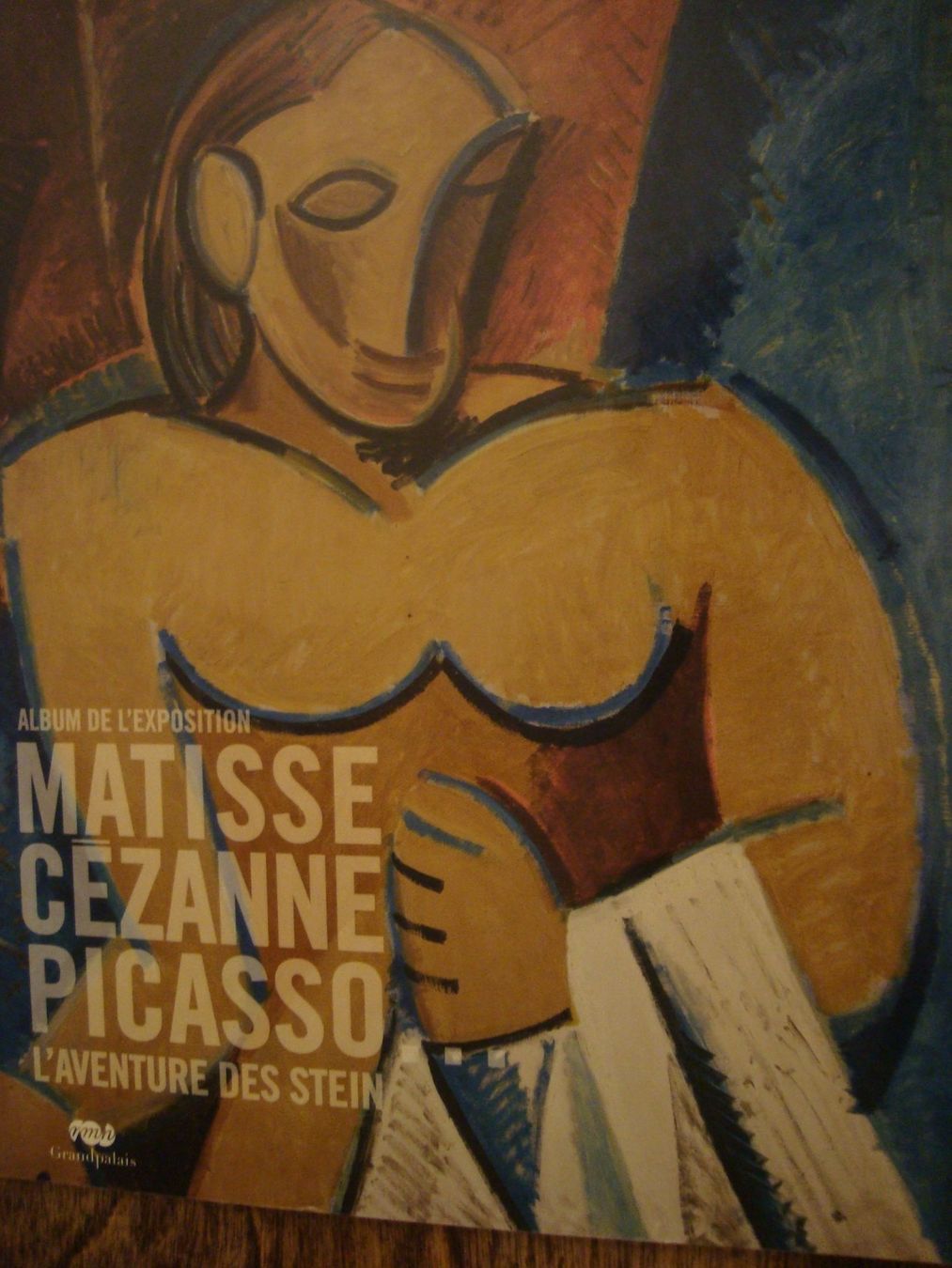 Albums: Matisse, Cézanne, Picasso: l'aventure des Stein – Neuf (Voir description) à Fribourg par ruswil007