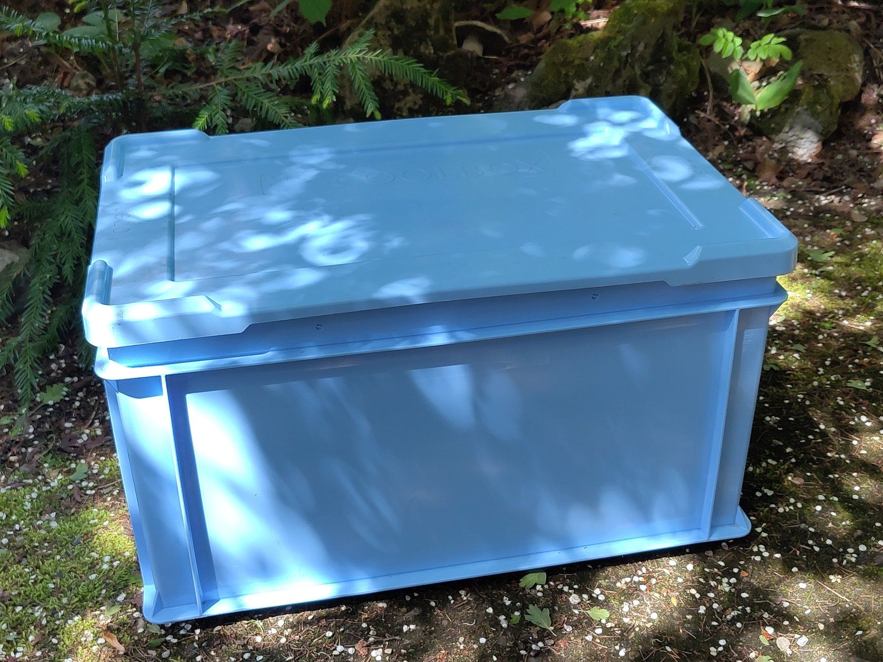Frigoriferi & Refrigeratori: Utz Coolbox mit Deckel, Kühlbox / Isolierbehälter Gastro – Usato da Langnau i. E. venduto da antrik 2