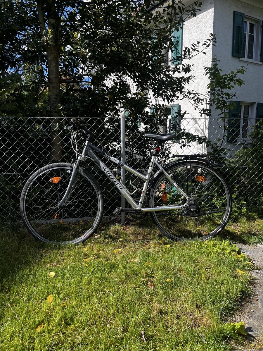 Wheeler Biciclette: Wheeler Cross Velo – Usato da Wallisellen venduto da maxiking.21