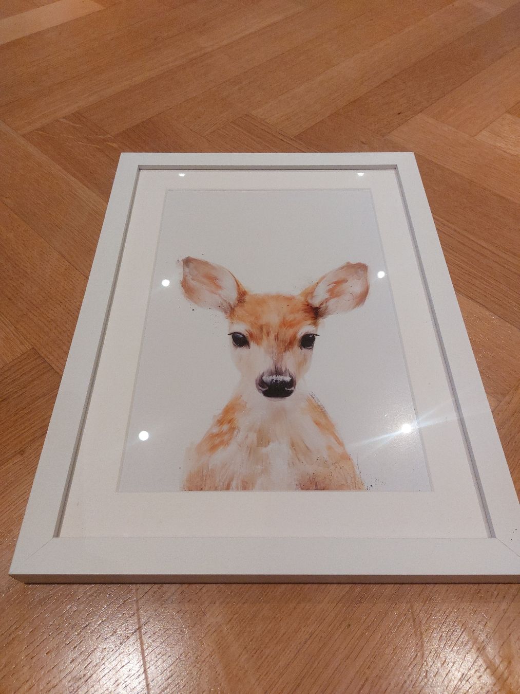 Foto & Immagini: 4x Cute Animal Pictures, incl. white frames – Usato da Zürich venduto da Lolaad 3