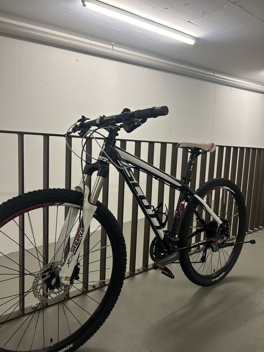 Scott Biciclette: Scott Mountain Bike – Usato da Bern venduto da anj_8hmc 1