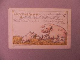 Karte Motiv Humor mit Schwein / Sau 1906 Glück Kleeblatt