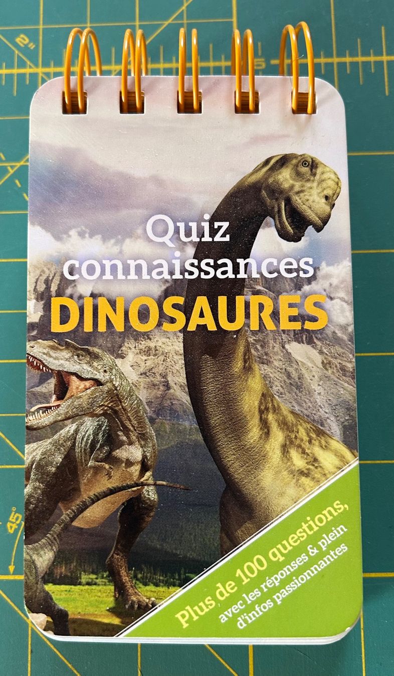 Giochi: Quiz de connaissance sur les dinosaures – Nuovo (secondo la descrizione) da Bouveret venduto da sev_qj7l