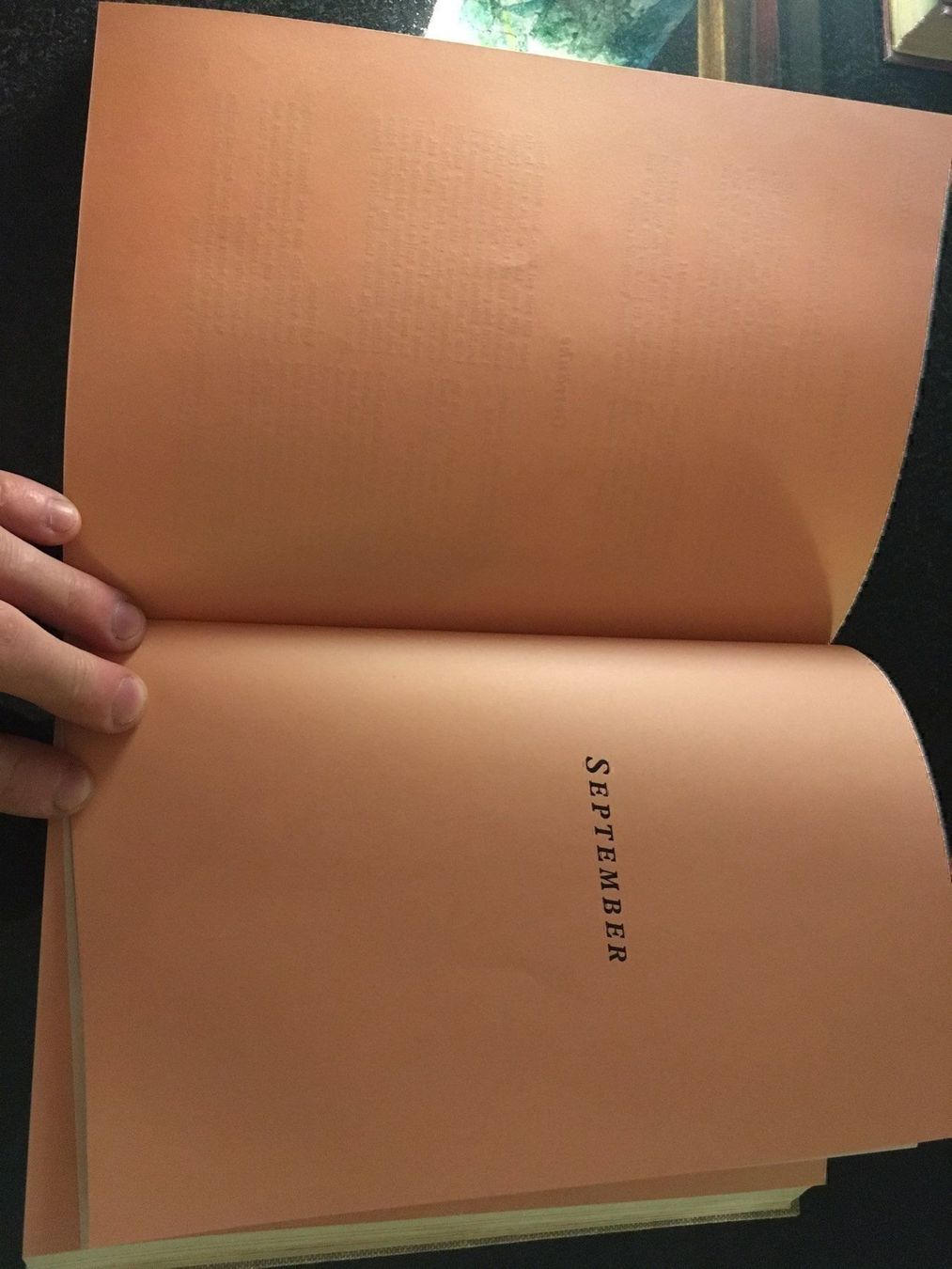 Libri: Kochbuch – Usato da Felben-Wellhausen venduto da bananajoe8474 7