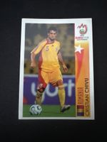 Panini UEFA EM 2008 Sticker - Nr. 479
