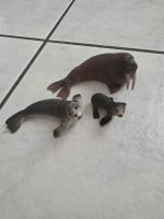 Schleich Tiere: Walross, Seehund und Baby