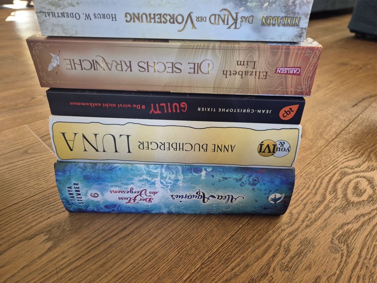 Libri: Buch Fantasy (5 Stück) – Usato da Zürich venduto da dima04