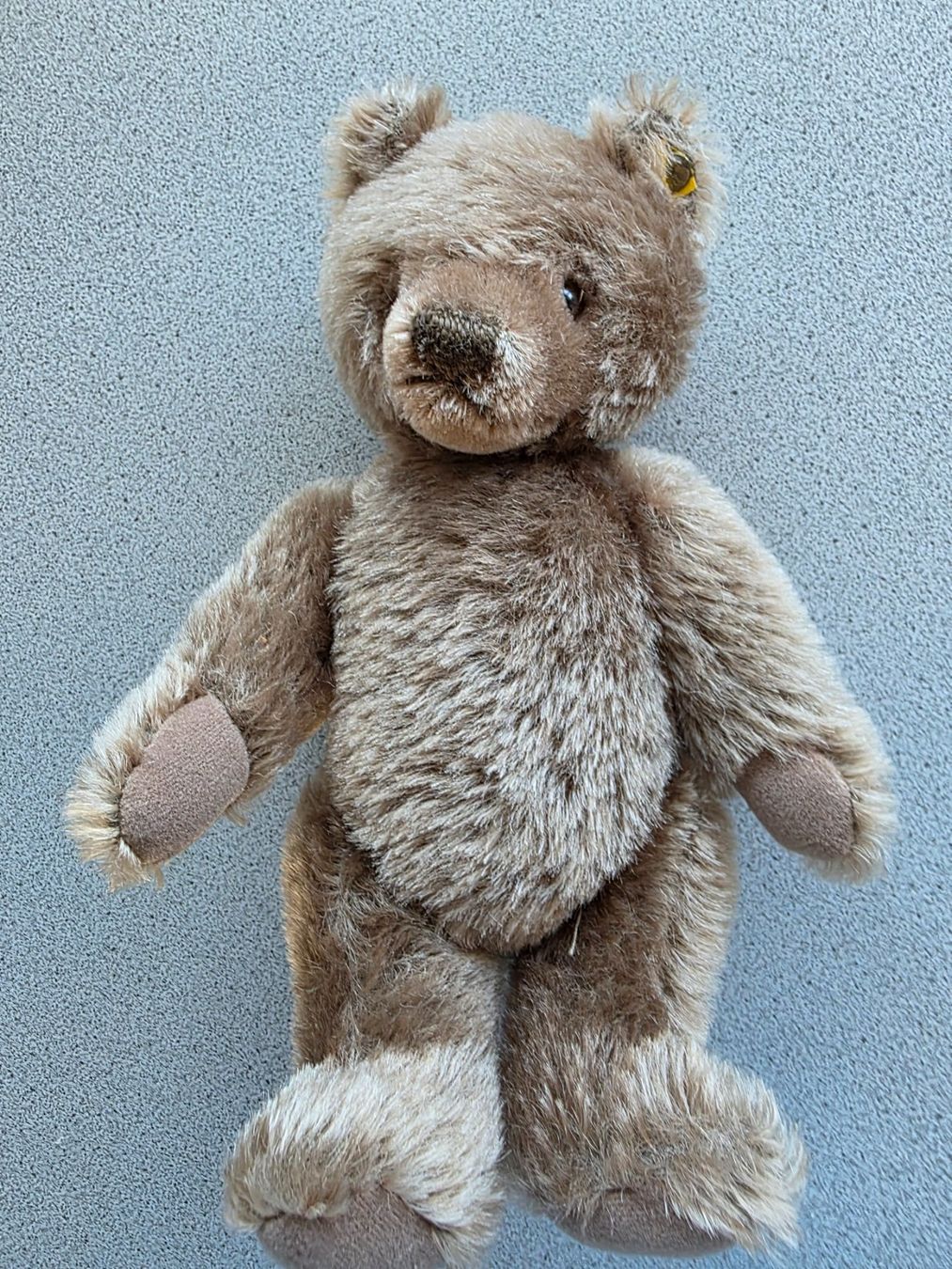 Steiff Giocattoli: STEIFF Teddy 25 cm, nicht bespielt – Usato da Burgdorf venduto da Liss 1