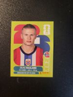 Panini Sticker Erling Haaland (NOR 15)