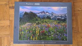 Puzzles 