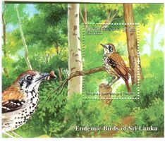 Block "Vögel". Sri Lanka.