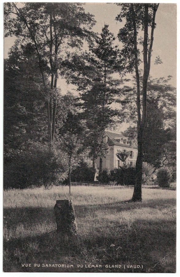 Cartoline postali: Gland, Sanatorium du Léman, circulée 1925 – Usato da Frauenfeld venduto da POML